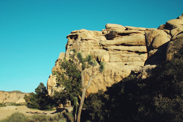 Joshua Tree National Park bouldering