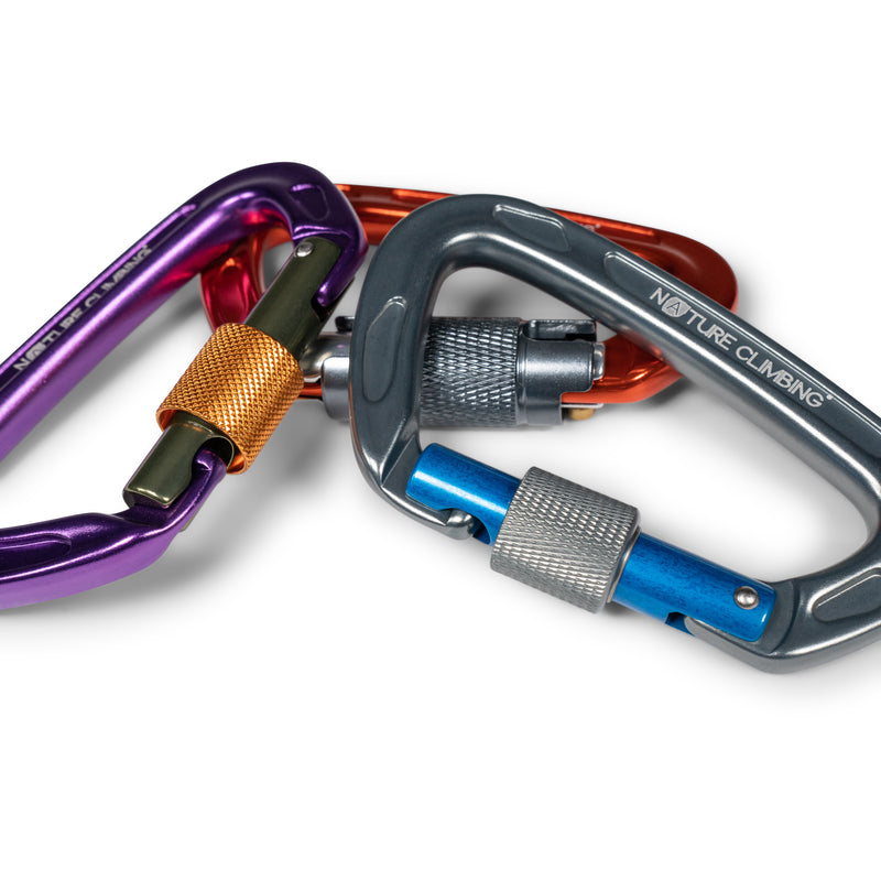 Carabiner Twistgate