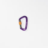 Carabiner Screwgate