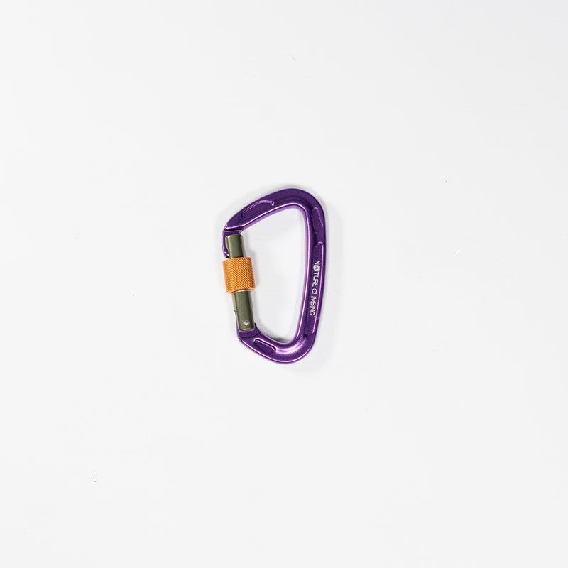 Carabiner Screwgate