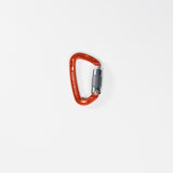 Carabiner Twistgate