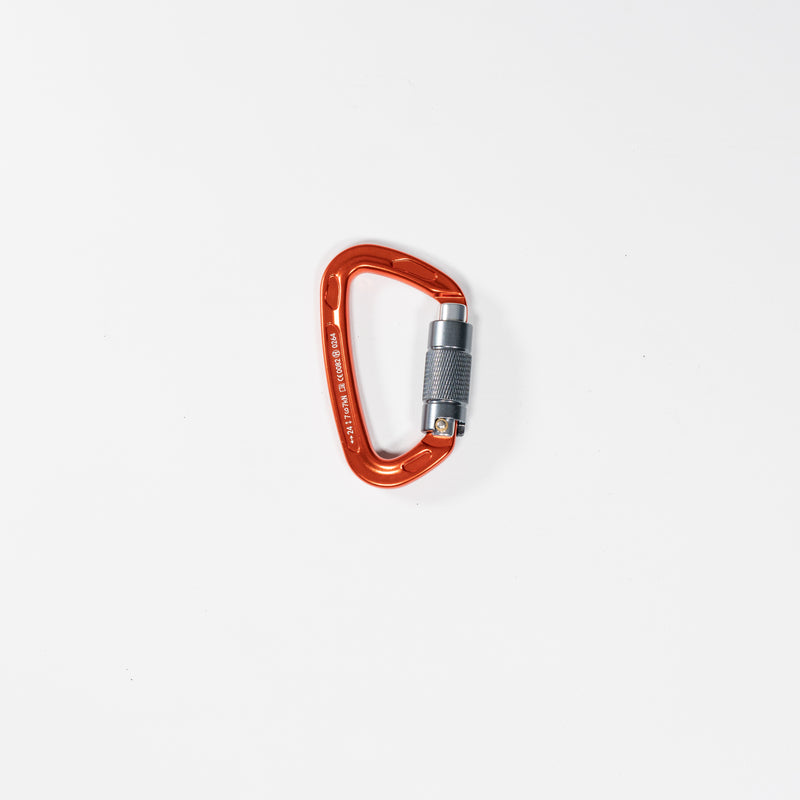 Carabiner Twistgate