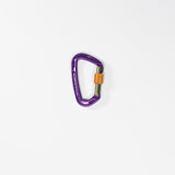 Carabiner Screwgate