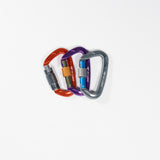 Carabiner Screwgate