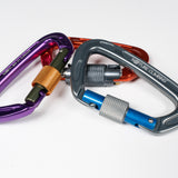Carabiner Screwgate