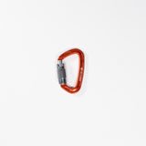 Carabiner Twistgate