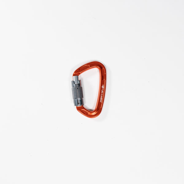 Carabiner Twistgate