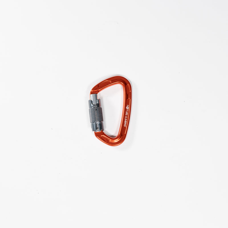 Carabiner Twistgate
